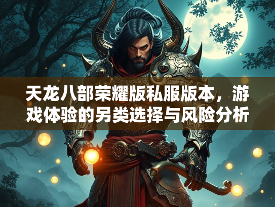天龙八部荣耀版私服版本，游戏体验的另类选择与风险分析