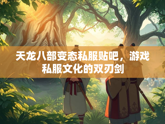 天龙八部变态私服贴吧，游戏私服文化的双刃剑