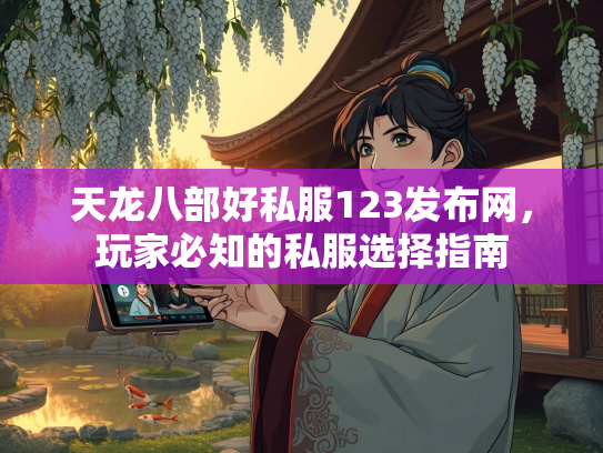 天龙八部好私服123发布网，玩家必知的私服选择指南  第2张