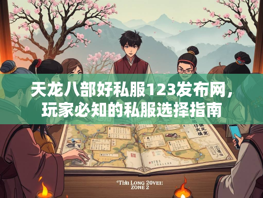 天龙八部好私服123发布网，玩家必知的私服选择指南  第3张