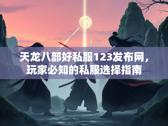 天龙八部好私服123发布网，玩家必知的私服选择指南