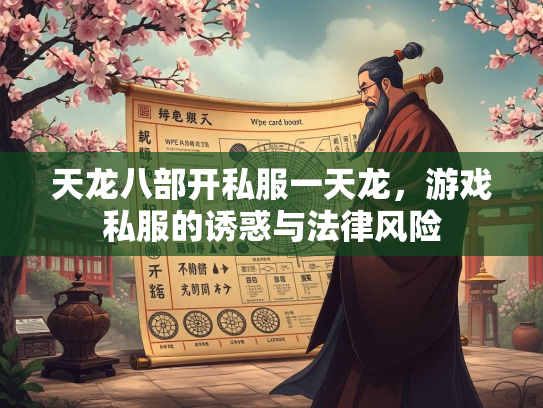 天龙八部开私服一天龙，游戏私服的诱惑与法律风险  第4张