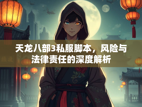 天龙八部3私服脚本，风险与法律责任的深度解析  第2张