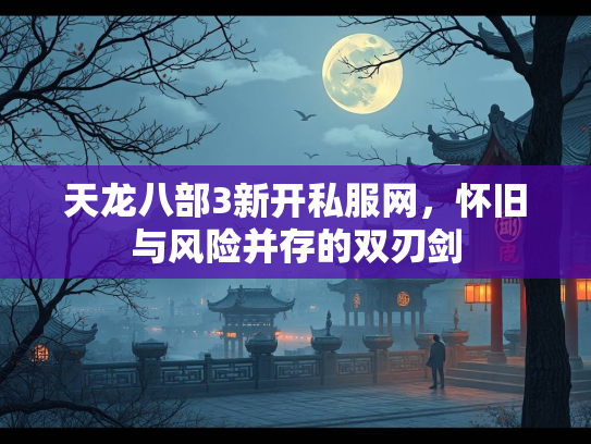 天龙八部3新开私服网，怀旧与风险并存的双刃剑