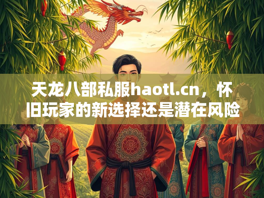 天龙八部私服haotl.cn，怀旧玩家的新选择还是潜在风险？  第2张