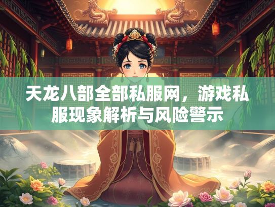 天龙八部全部私服网，游戏私服现象解析与风险警示  第3张