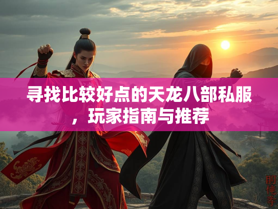 寻找比较好点的天龙八部私服，玩家指南与推荐