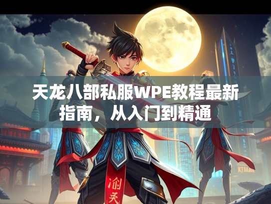 天龙八部私服WPE教程最新指南，从入门到精通