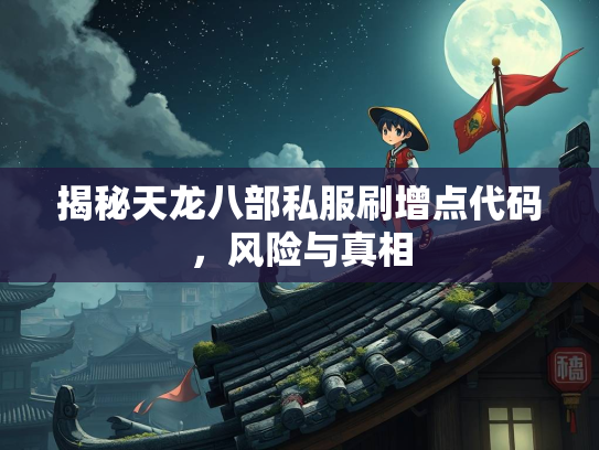 揭秘天龙八部私服刷增点代码，风险与真相  第4张
