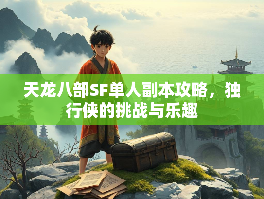 天龙八部SF单人副本攻略，独行侠的挑战与乐趣
