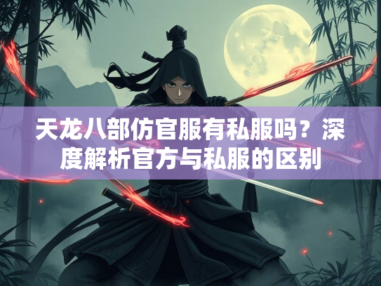 天龙八部仿官服有私服吗？深度解析官方与私服的区别