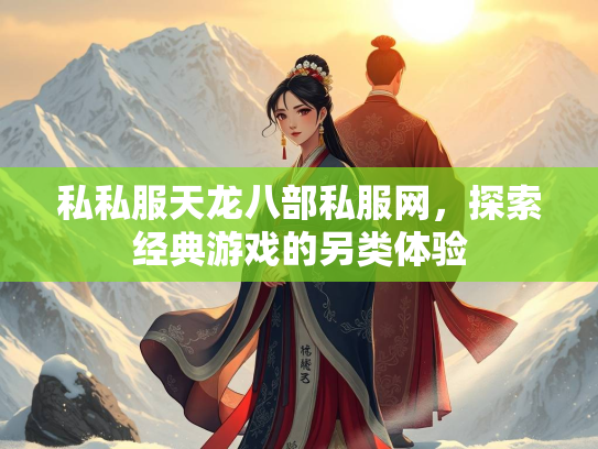 私私服天龙八部私服网，探索经典游戏的另类体验  第2张