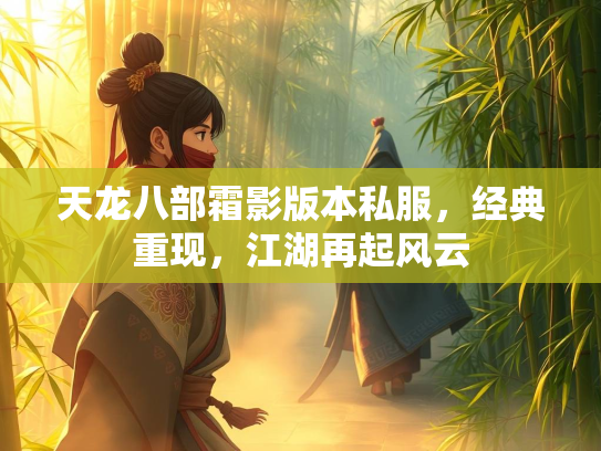 天龙八部霜影版本私服，经典重现，江湖再起风云  第2张
