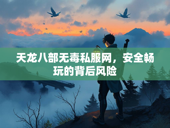 天龙八部无毒私服网，安全畅玩的背后风险