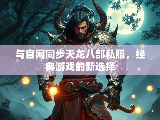 与官网同步天龙八部私服，经典游戏的新选择  第2张