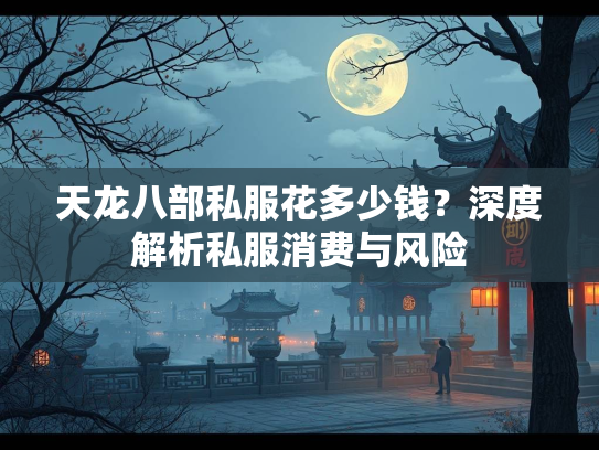 天龙八部私服花多少钱？深度解析私服消费与风险  第2张