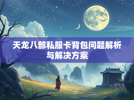 天龙八部私服卡背包问题解析与解决方案  第2张