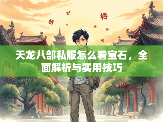 天龙八部私服怎么看宝石，全面解析与实用技巧