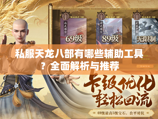 私服天龙八部有哪些辅助工具？全面解析与推荐