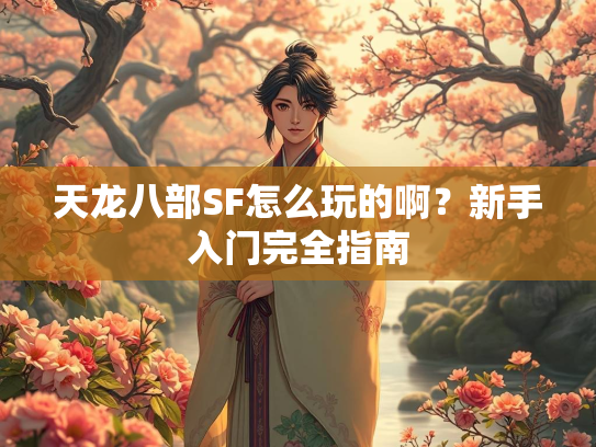 天龙八部SF怎么玩的啊？新手入门完全指南