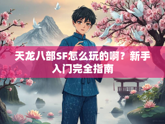 天龙八部SF怎么玩的啊？新手入门完全指南