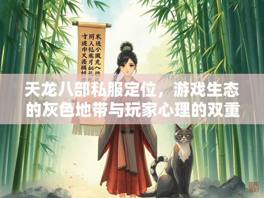 天龙八部私服定位，游戏生态的灰色地带与玩家心理的双重博弈