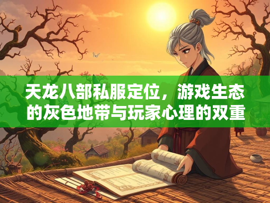 天龙八部私服定位，游戏生态的灰色地带与玩家心理的双重博弈