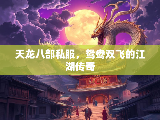 天龙八部私服，鸳鸯双飞的江湖传奇  第2张