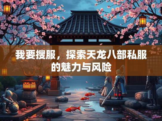 我要搜服，探索天龙八部私服的魅力与风险  第2张