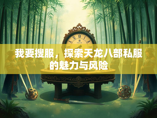 我要搜服，探索天龙八部私服的魅力与风险  第3张