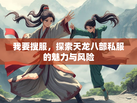 我要搜服，探索天龙八部私服的魅力与风险  第1张