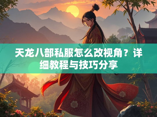 天龙八部私服怎么改视角？详细教程与技巧分享  第3张