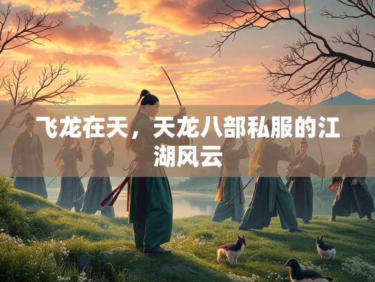 飞龙在天，天龙八部私服的江湖风云  第2张