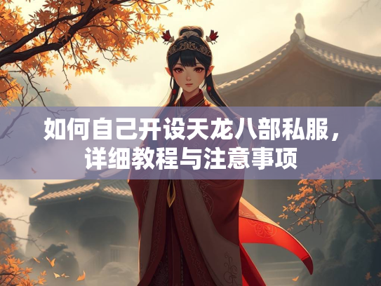 如何自己开设天龙八部私服，详细教程与注意事项  第2张