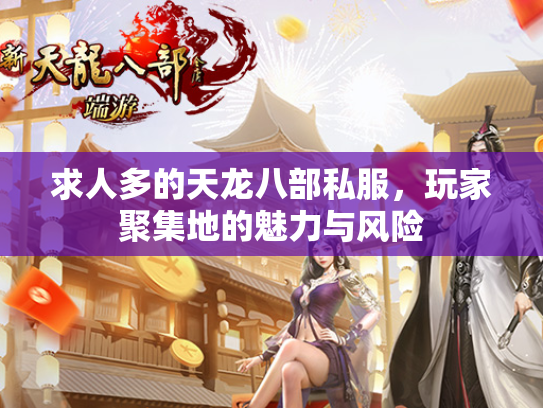 求人多的天龙八部私服，玩家聚集地的魅力与风险