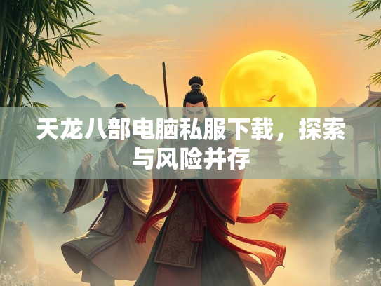 天龙八部电脑私服下载，探索与风险并存