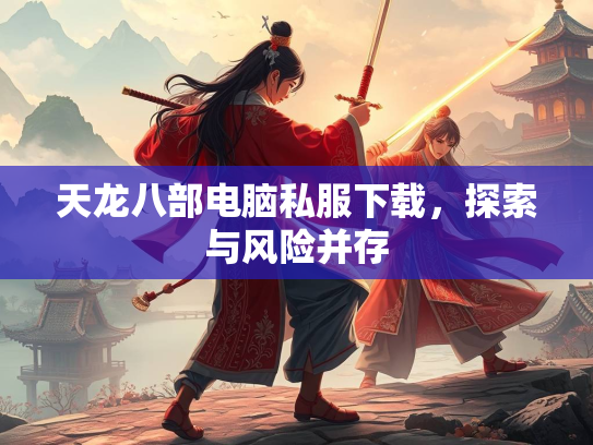 天龙八部电脑私服下载，探索与风险并存  第4张
