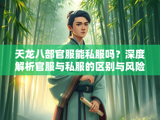 天龙八部官服能私服吗？深度解析官服与私服的区别与风险