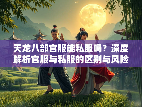 天龙八部官服能私服吗？深度解析官服与私服的区别与风险