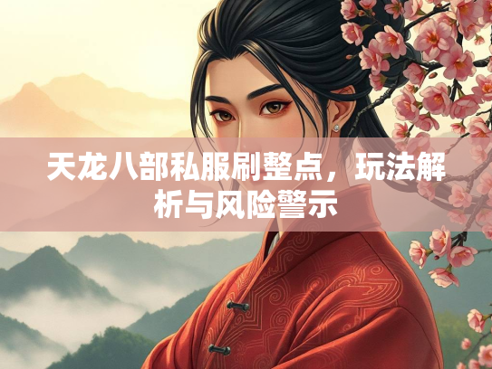 天龙八部私服刷整点，玩法解析与风险警示
