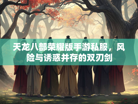 天龙八部荣耀版手游私服，风险与诱惑并存的双刃剑  第2张