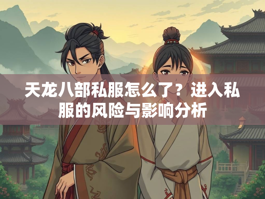天龙八部私服怎么了？进入私服的风险与影响分析  第2张