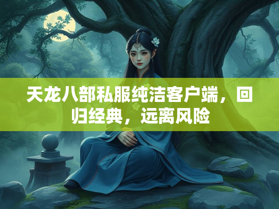 天龙八部私服纯洁客户端，回归经典，远离风险