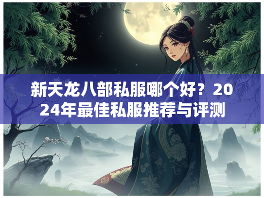 新天龙八部私服哪个好？2024年最佳私服推荐与评测  第3张
