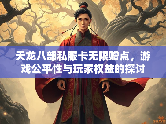 天龙八部私服卡无限赠点，游戏公平性与玩家权益的探讨