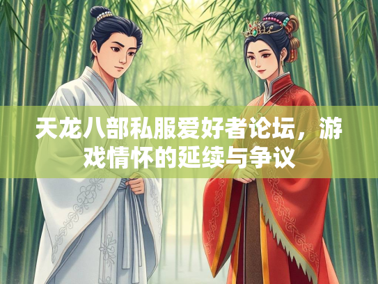 天龙八部私服爱好者论坛，游戏情怀的延续与争议
