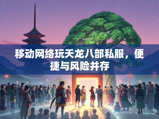 移动网络玩天龙八部私服，便捷与风险并存