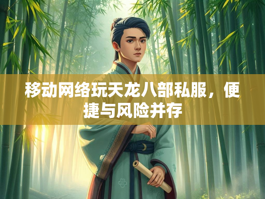 移动网络玩天龙八部私服，便捷与风险并存