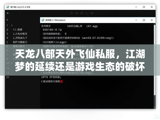 天龙八部天外飞仙私服，江湖梦的延续还是游戏生态的破坏？