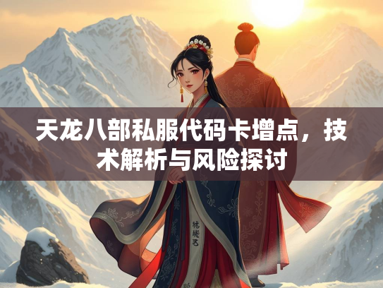 天龙八部私服代码卡增点，技术解析与风险探讨